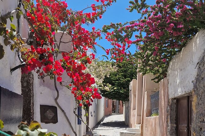 3 hours Panoramic Tour to Oia - Value for $78.60: What You’re Paying For (and What You’re Not)
