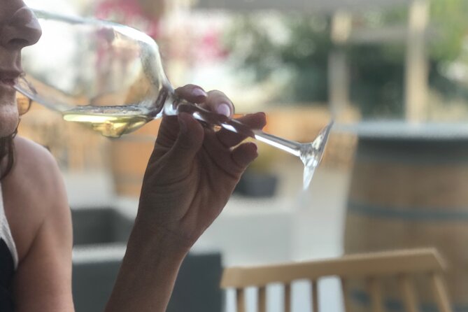 3 Wineries wine tasting & Greek Meal -Food and Wine pairing - What you’ll taste: PDO and indigenous styles, across different wine personalities