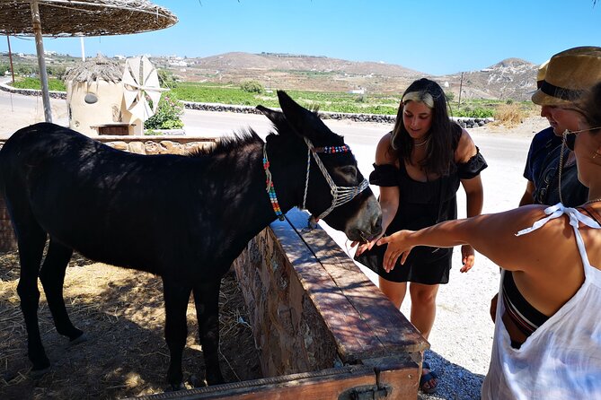 4 hrs PRIVATE island tour and photos, Oia and Blue domes - Photography That Feels Effortless, Not Forced
