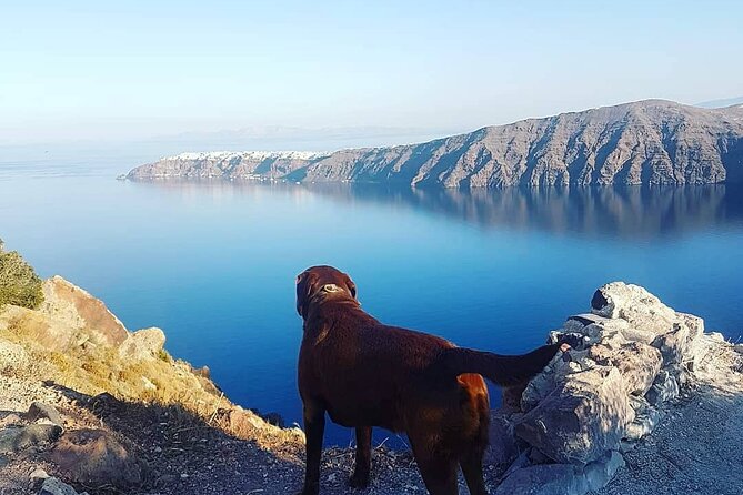 5-Hour Private Custom Santorini Tour - The comfort and pickup details that really matter