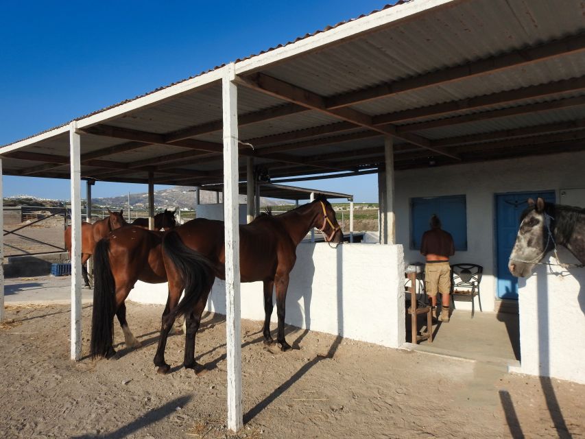 Akrotiri: Guided Horseback Riding Day Trip to a Beach - Vlychada views from the saddle: the kind of photography that feels real