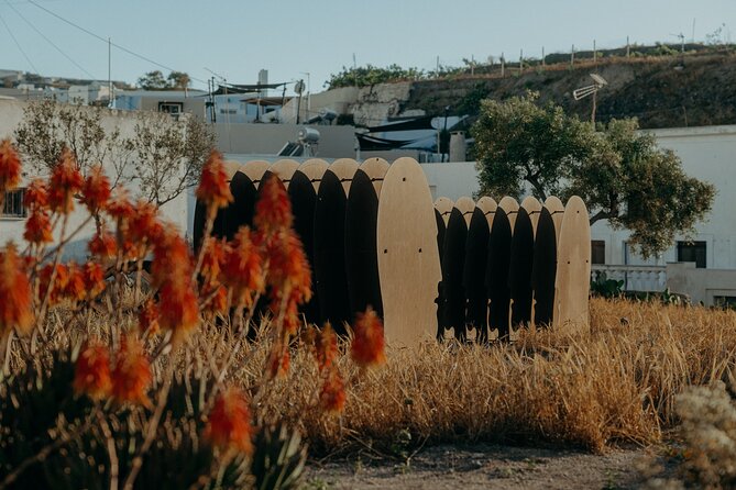 Art and Wine Tour in a Historic Santorini Winery - Why the two chambers and garden installations change the pacing