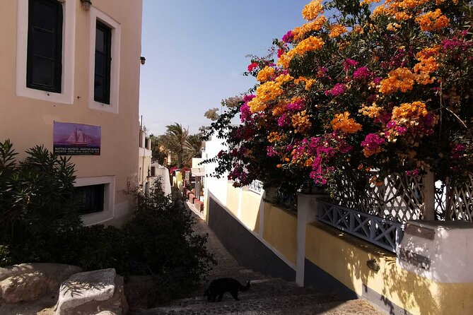 Authentic Santorini: A Self-Guided Audio Tour of Oia - Blue domes and the viewpoints everyone chases