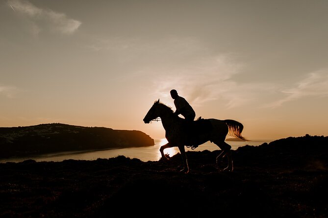 Beach Gallop - Horse Riding Safari for Experienced Riders - Price and value for a 2-hour experienced-rider safari