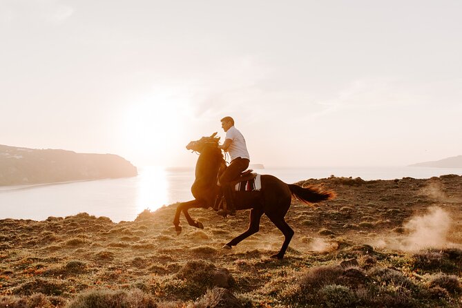 Beach Gallop - Horse Riding Safari for Experienced Riders - Who should book, and who should skip