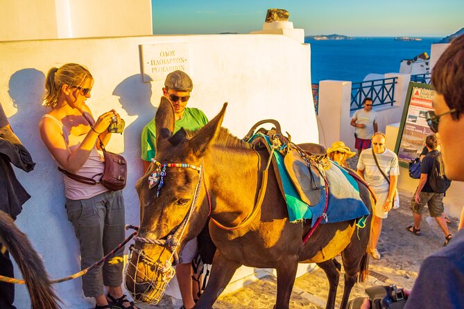 Best of Santorini Full Day Private Trip From Mykonos - Oia in 60 Minutes: How to See the Most Without Getting Stuck in One Spot