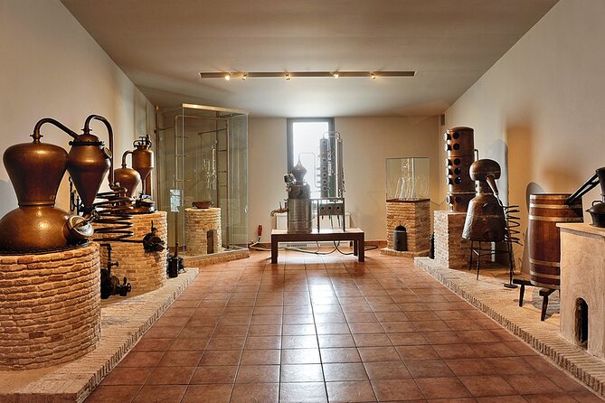 Cave Wine Museum Tour in Santorini with Tasting and Pick Up - The tasting: 3 local wines and pre-phylloxera grapes