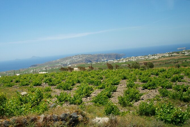 Discover Santorini - Weather, walking pace, and who this tour fits best