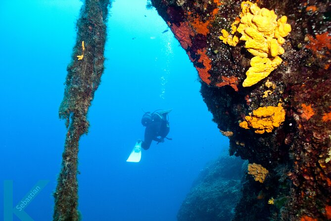 Discover Scuba Diving in the Caldera of the Volcano in Santorini - Key highlights that make this worth your time