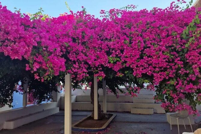 Explore Santorini in 3 hours With a Local Guide - Who should book this 3-hour Santorini highlights tour