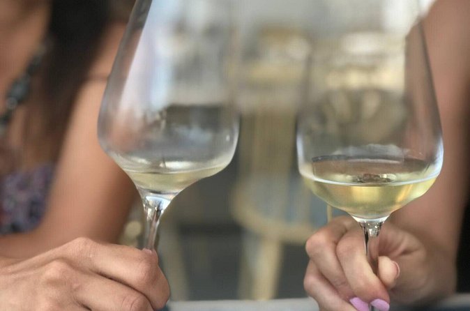 Explore Wine in Santorini Wine tasting in 3 wineries and brewery - The brewery start: donkey beer as a fun opener