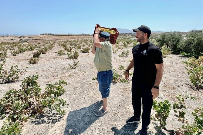Farm to Table Food Tour Experience in Santorini - The Farm Walk Near Fira: Volcanic Soil and No-Irrigation Farming
