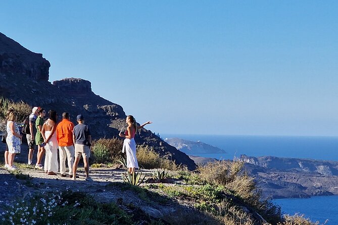 Flavors of Santorini: Farm-to-Table Meal Wine & Authentic Village - Key highlights worth planning for