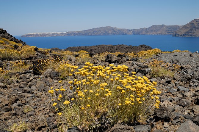 Full Day Santorini Caldera Cruise - Palea Kameni Hot Springs Swim: Expect Warm Pockets, Not a Spa