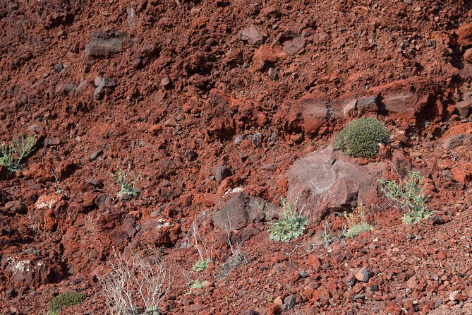 Hiking activity through the volcanic land of wonder - Imerovigli: Caldera Center Views and the Pirate-Era Story
