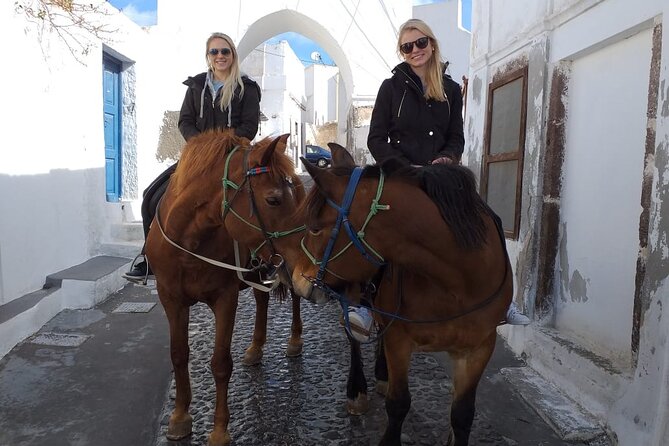 Horse Riding: Explore Secret Thera - Megalochori as Your Starting Point: the calmer side of Santorini