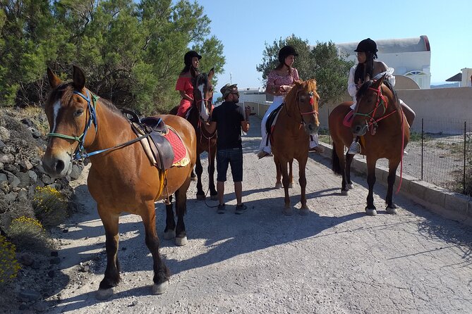 Horse Riding: Explore Secret Thera - Guides Matter: friendlier moments, and why English can vary