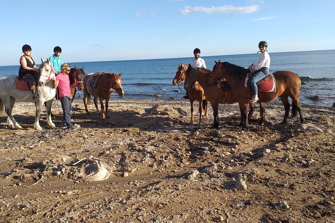 Horse Riding: Explore Secret Thera - Group Size and Safety: small by design, calm by practice