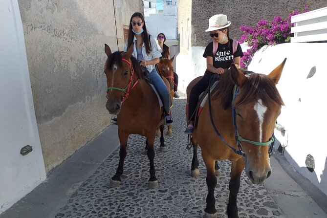 Horse Riding: Explore Secret Thera - Value and price: is $72.56 per person a good deal?