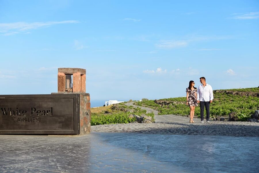 Imerovigli: Premium Wine Tasting with Caldera and Sea Views - Private wine cellar visit: your bottle-shopping shortcut