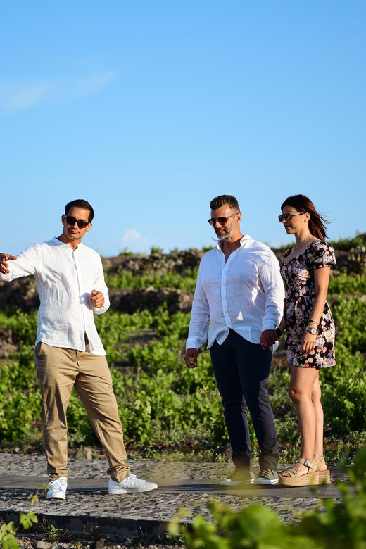 Imerovigli: Premium Wine Tasting with Caldera and Sea Views - Price and value: why $104 per person can make sense