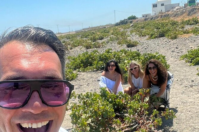 Island of Thera in One Day: 8h Island Tour, Lunch & WineTasting - Venetsanos Winery wine tasting: what the included hour is really for