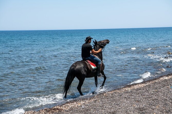 Premium Secluded Black Beach Horseback Riding Tour in Santorini - Horses, skill level, and the 230 lb limit