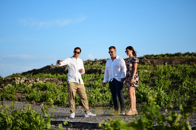 Premium Wine Tasting with Caldera Views - Key highlights to know before you go