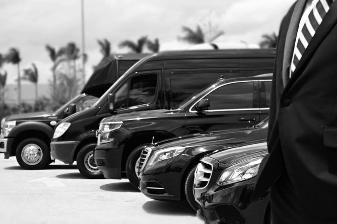 Private Arrival Transfer From Santorini Port To All Destinations - Why 24/7 service helps when ferries and cruises change their minds
