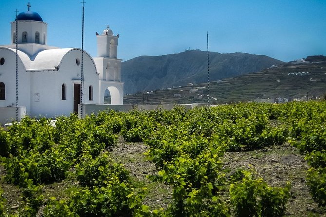 ~PRIVATE Full Day Santorini road tour 8 hours Book with us~ - Akrotiri: red beach vibes and ancient excavations, minus one ticket