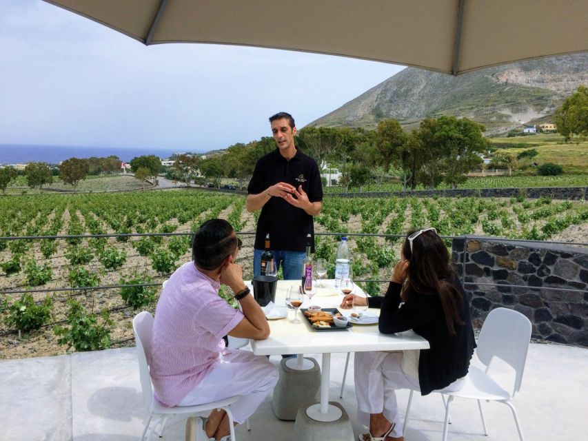 Private Group Visit to Akrotiri & 3 Wineries with Tastings - Should You Book This Akrotiri and 3-Wineries Tour?
