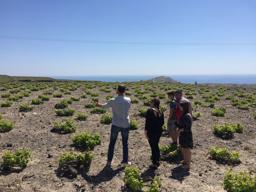 Private Group Visit to Akrotiri & 3 Wineries with Tastings - Price and Value: Why $294 Can Make Sense on Santorini