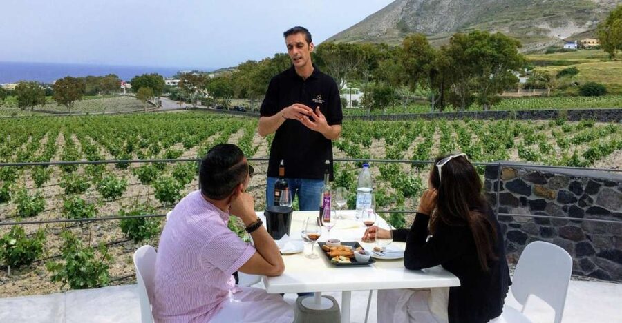 Private Group Visit to Akrotiri & 3 Wineries with Tastings - Who This Tour Suits Best