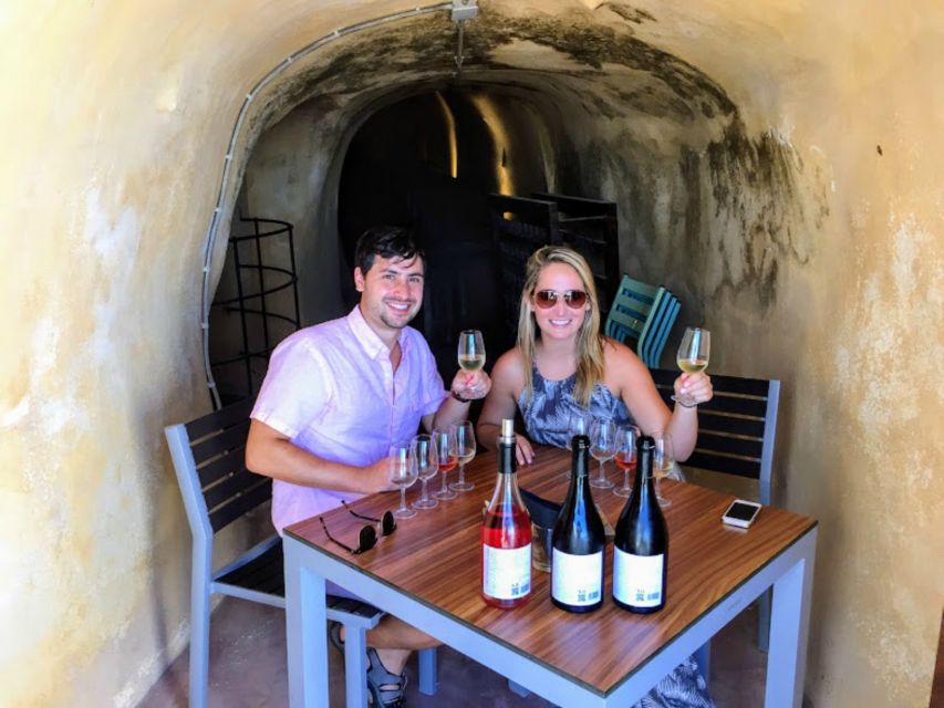 Private Group Visit to Akrotiri & 3 Wineries with Tastings - Akrotiri Excavations: What You See When the Guide Steps Back