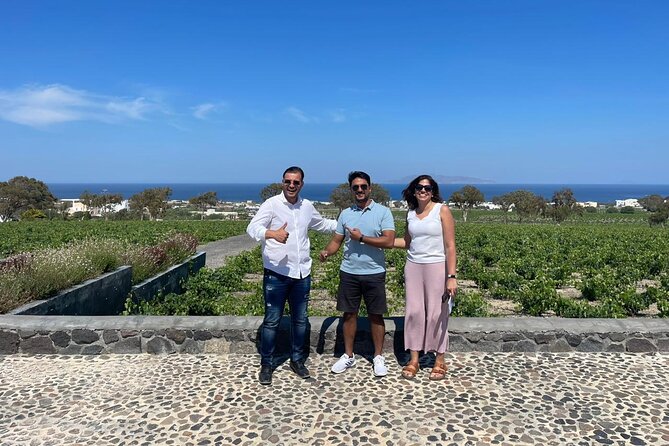 Private Santorini Fine Wine Tasting - Stop 2: Artemis Karamolegos Winery and Its Winemaking Museum