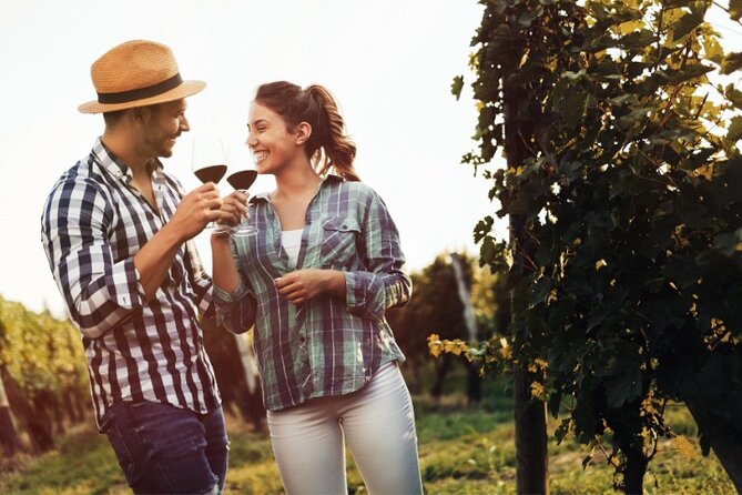 Private Santorini Fine Wine Tasting - Price, Timing, and the Value of a Private Route