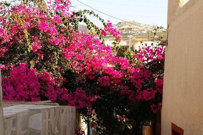 Private Santorini Highlights Tour with Easy and Flat Walks - Getting Picked Up Smoothly, Especially If You Are on a Cruise