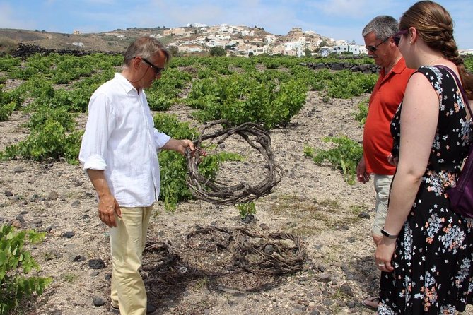 Private Santorini Sunset Wine Tour with Tastings and Tapas - A 4 pm start that fits Santorini’s rhythm