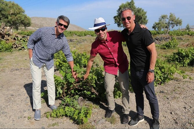 Private Santorini Sunset Wine Tour with Tastings and Tapas - Santo Wines at sunset: sparkling wine and the view payoff