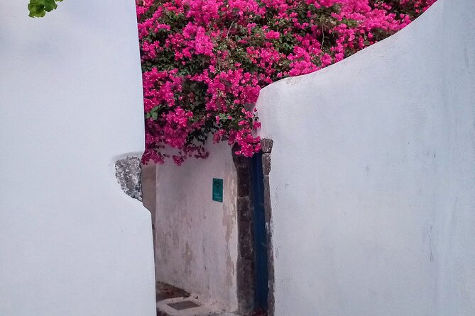 Private Sightseeing Tour in Santorini - Price and value: what $120.98 really covers for a 3-hour private tour