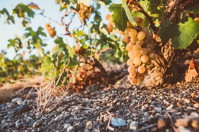 Private Sunset Wine Tour – Caldera Views & Premium Tastings - Price and value at about $223.82 per person