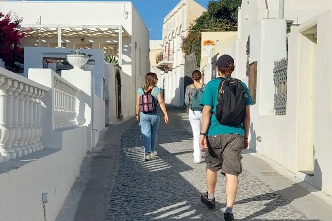 Private Tailor-Made Santorini Tour with Local Driver - Optional Add-Ons: Akrotiri Archaeology and Wine Stops