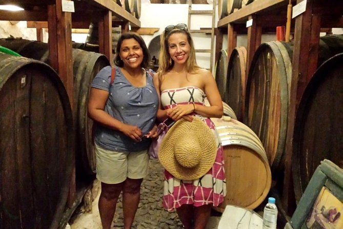 Private Tour: Ancient Akrotiri and Santorini Wineries Tour - Key highlights to look for