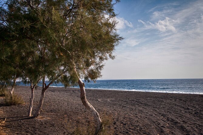 Private Tour: Discover South of Santorini - Red Beach and the south coast stops that feel like a shortcut