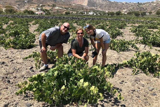 Private Tour: Great Wines and Famous Towns of Santorini - Transportation and the private-tour feel: Mercedes comfort, English help, and a smoother pace
