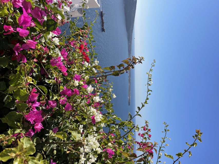 Private Tour of the Famous Blue Domes and Caldera - Oia blue domes: churches, windmills, Castle of Oia views