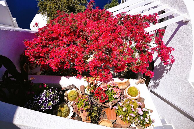 Private Unseen Authentic Santorini Half Day Island Tour - The drive and guide make the itinerary feel personal