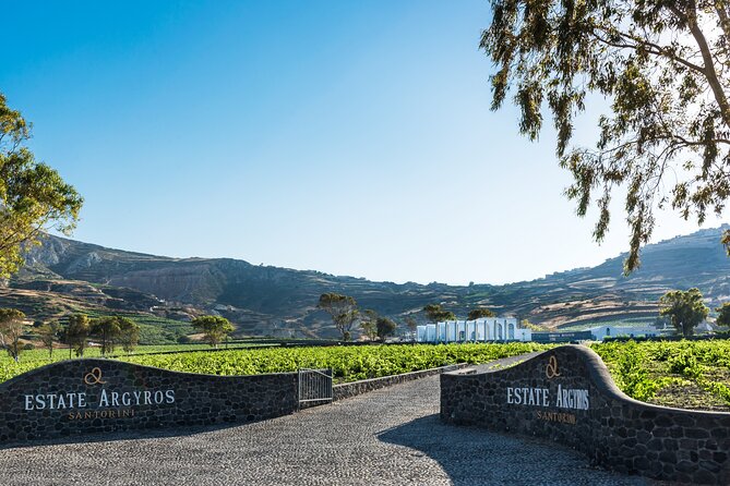 Private Wine Adventure Tour in the Most Distinct Wineries - Private wine adventure in Santorini: how the pacing really feels