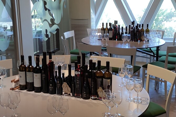 Private Wine Tour in 3 Wineries with 12 Wine Tastings and Tapas - Guides and sommelier style: why it feels welcoming
