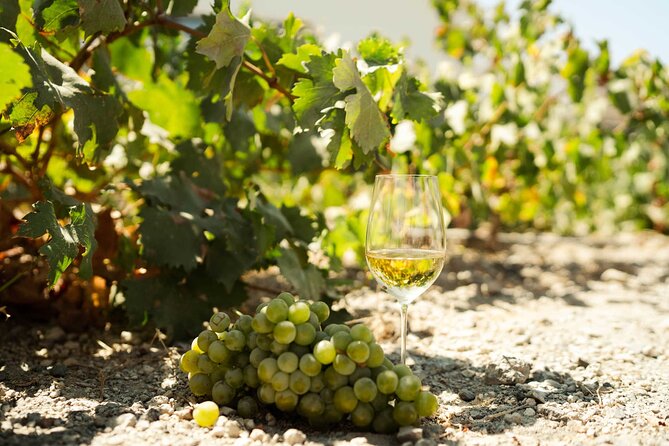 Private Wine Tour in Santorini - Art Space Winery Museum in Exo Gonia: Wine Country Meets Greek Art